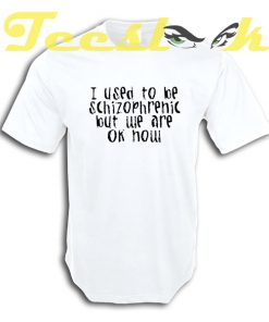 I used to be schizophrenic but WE are ok now tees shirt